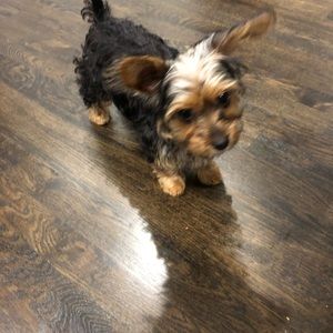 Meet your Posher, Michelle